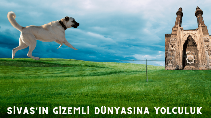 SİVAS’IN SIRLARI | TARİH | KÜLTÜR | DOĞA | ŞİFALI BALIKLAR | TERMAL SULARI | KANGAL KÖPEĞİ | 2023